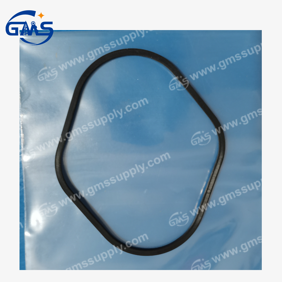 109567-S P50 Pump (Body Seal)